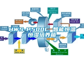 常见问题HWS-P500C 智能恒温恒湿培养箱