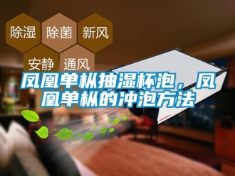 企业新闻凤凰单枞抽湿杯泡，凤凰单枞的冲泡方法