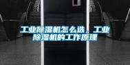 工业除湿机怎么选，工业除湿机的工作原理