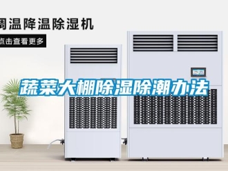 知识百科蔬菜大棚除湿除潮办法