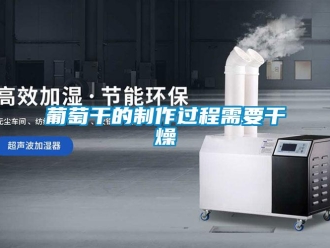 行业新闻葡萄干的制作过程需要干燥
