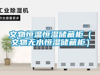 知识百科文物恒温恒湿储藏柜（文物无水恒湿储藏柜）