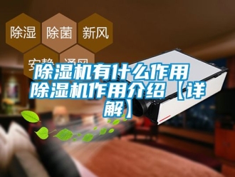 行业新闻除湿机有什么作用 除湿机作用介绍【详解】