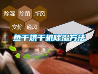 行业新闻鱼干烘干机除湿方法