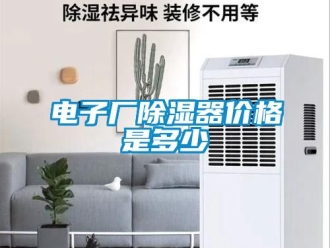 行业新闻电子厂除湿器价格是多少