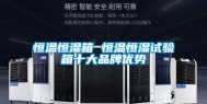 恒温恒湿箱 恒温恒湿试验箱十大品牌优势