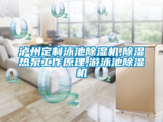 行业新闻泸州定制泳池除湿机,除湿热泵工作原理,游泳池除湿机
