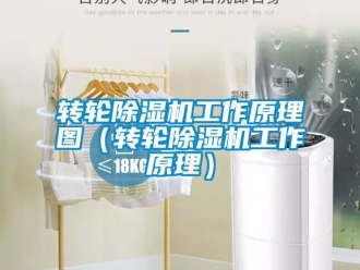 常见问题转轮除湿机工作原理图（转轮除湿机工作原理）