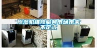除湿机维修服务市场未来不定式