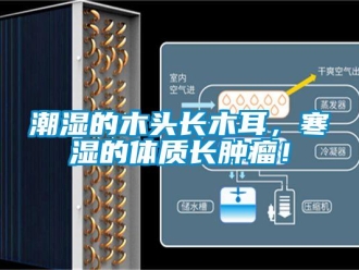 企业新闻潮湿的木头长木耳，寒湿的体质长肿瘤！