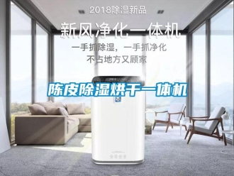 企业新闻陈皮除湿烘干一体机