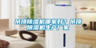 吊顶除湿机哪家好？吊顶除湿机生产厂家