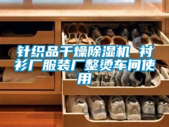 知识百科针织品干燥除湿机 衬衫厂服装厂整烫车间使用