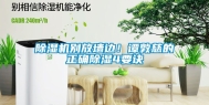 除湿机别放墙边！谭敦慈的正确除湿4要诀