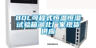 80L可程式恒温恒湿试验箱湖北厂家现货供应
