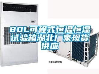 常见问题80L可程式恒温恒湿试验箱湖北厂家现货供应