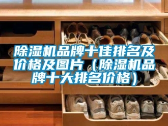 企业新闻除湿机品牌十佳排名及价格及图片（除湿机品牌十大排名价格）