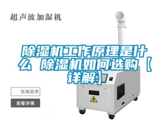 行业新闻除湿机工作原理是什么 除湿机如何选购【详解】