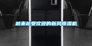 越来越受欢迎的新风除湿机