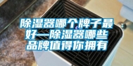 除湿器哪个牌子最好—除湿器哪些品牌值得你拥有