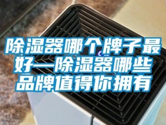 行业新闻除湿器哪个牌子最好—除湿器哪些品牌值得你拥有