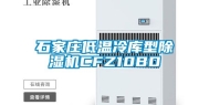 石家庄低温冷库型除湿机CFZ10BD