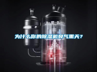 知识百科为什么你的除湿机臭气熏天？