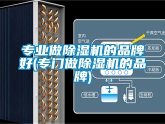 企业新闻专业做除湿机的品牌好(专门做除湿机的品牌)