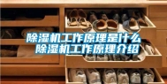 除湿机工作原理是什么 除湿机工作原理介绍
