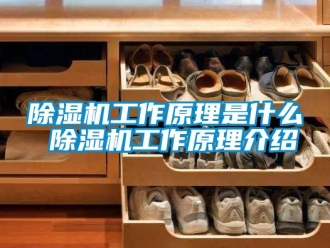 行业新闻除湿机工作原理是什么 除湿机工作原理介绍