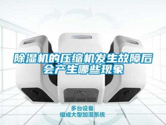 常见问题除湿机的压缩机发生故障后会产生哪些现象