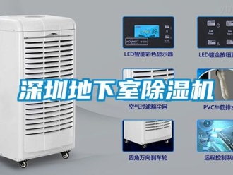 行业新闻深圳地下室除湿机