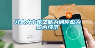 习大大中东之旅为调停也为国内经济