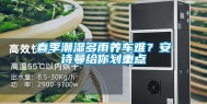 春季潮湿多雨养车难？安诗曼给你划重点