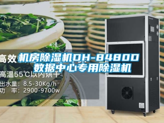 行业新闻机房除湿机DH-8480D 数据中心专用除湿机