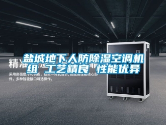 行业新闻盐城地下人防除湿空调机组 工艺精良 性能优异