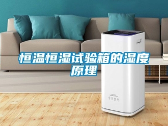 知识百科恒温恒湿试验箱的湿度原理