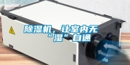 除湿机，让室内无“湿”自通