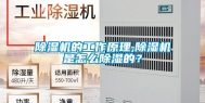 除湿机的工作原理,除湿机是怎么除湿的？