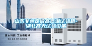山东非标定做高低温试验箱-湖北高天试验设备