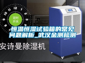 知识百科恒温恒湿试验箱的常见问题解析_武汉金测检测