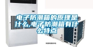 电子防潮箱的原理是什么,电子防潮箱有什么特点