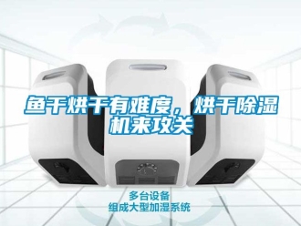 行业新闻鱼干烘干有难度，烘干除湿机来攻关