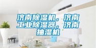 济南除湿机，济南工业除湿器，济南抽湿机