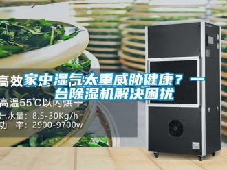 行业新闻家中湿气太重威胁健康？一台除湿机解决困扰