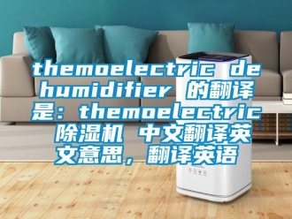 企业新闻themoelectric dehumidifier 的翻译是：themoelectric 除湿机 中文翻译英文意思，翻译英语