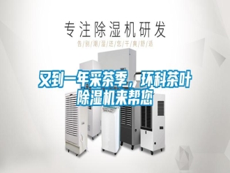 知识百科又到一年采茶季，环科茶叶除湿机来帮您