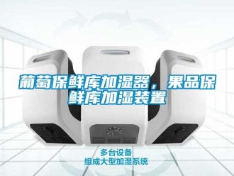 行业新闻葡萄保鲜库加湿器，果品保鲜库加湿装置