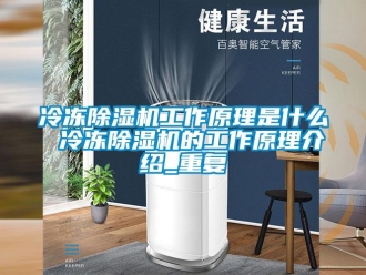 行业新闻冷冻除湿机工作原理是什么 冷冻除湿机的工作原理介绍_重复