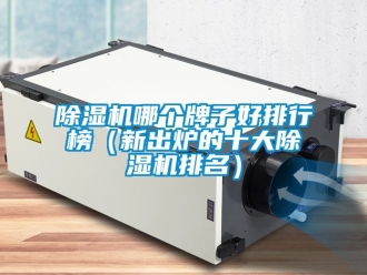 行业新闻除湿机哪个牌子好排行榜（新出炉的十大除湿机排名）